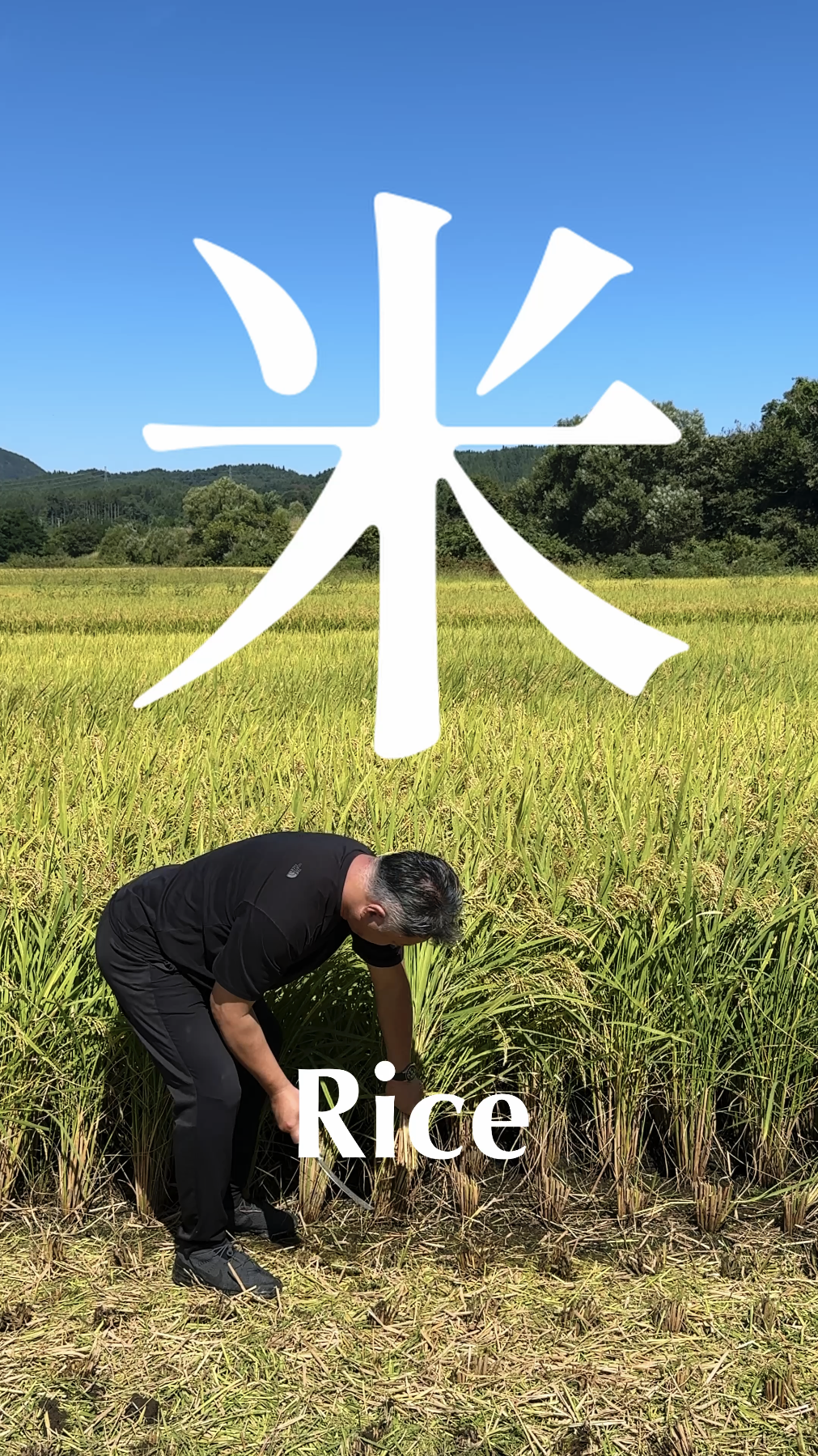縦型ドキュメンタリー